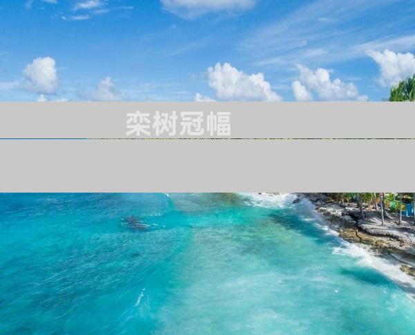 栾树冠幅