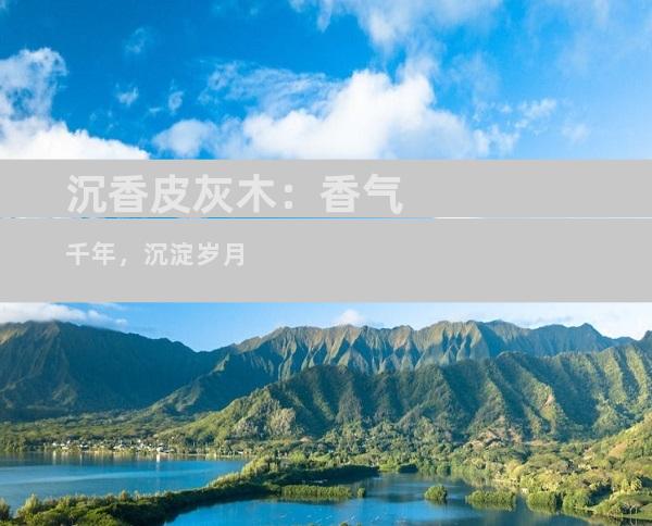 沉香皮灰木：香气千年，沉淀岁月