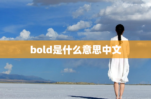 bold是什么意思中文