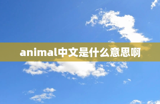 animal中文是什么意思啊
